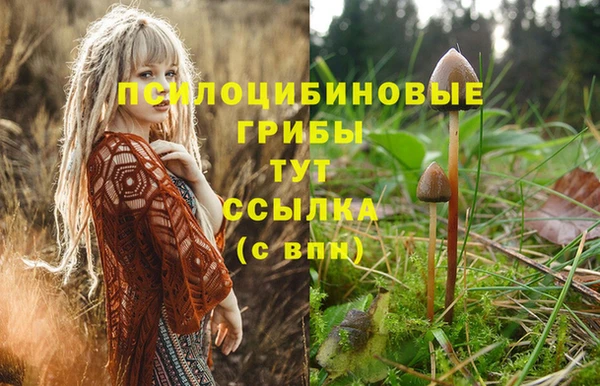 соль ск Алексин