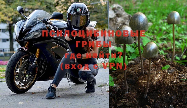 амф Алексеевка