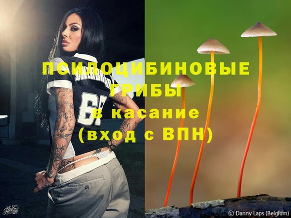 амф Алексеевка